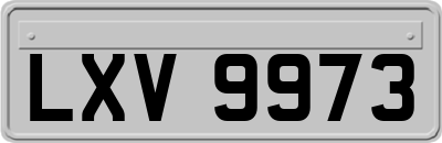 LXV9973