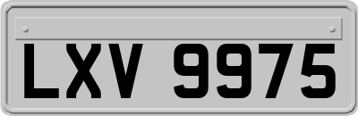 LXV9975