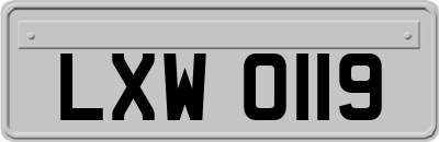 LXW0119