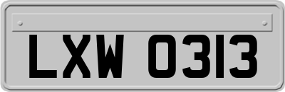 LXW0313