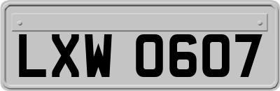LXW0607