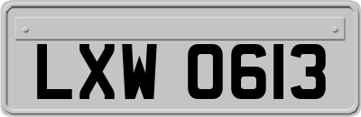 LXW0613