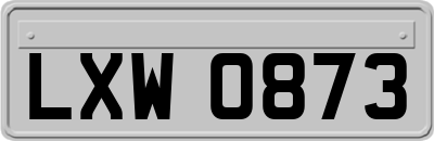 LXW0873
