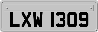 LXW1309