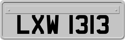 LXW1313