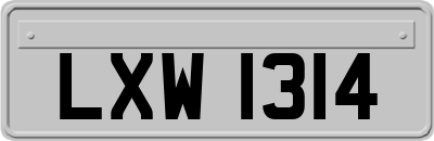 LXW1314