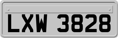 LXW3828