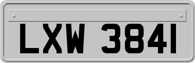 LXW3841