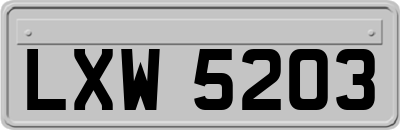 LXW5203