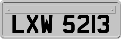 LXW5213