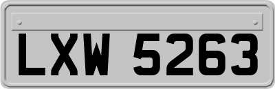 LXW5263