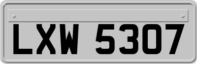 LXW5307