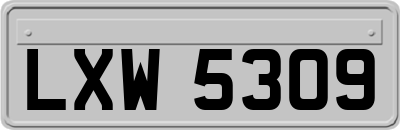 LXW5309
