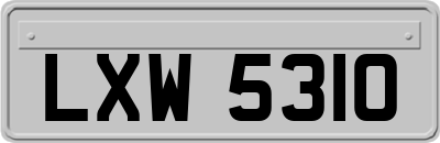 LXW5310