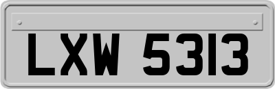 LXW5313