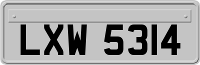 LXW5314