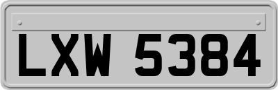 LXW5384