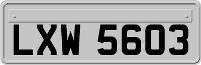 LXW5603
