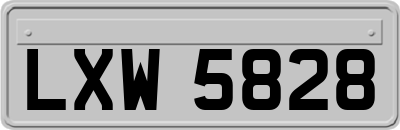 LXW5828