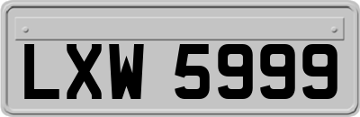 LXW5999