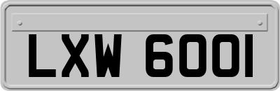 LXW6001