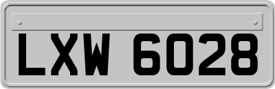 LXW6028
