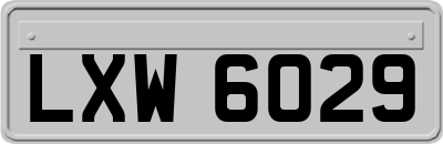 LXW6029