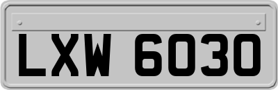 LXW6030