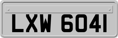 LXW6041