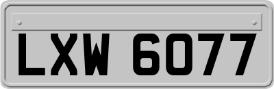LXW6077