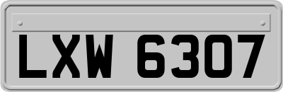 LXW6307