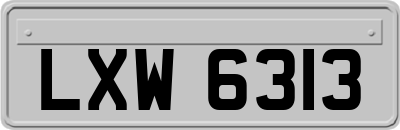 LXW6313