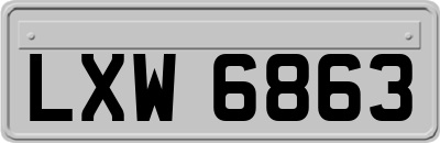 LXW6863