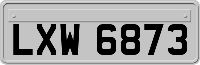 LXW6873