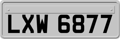 LXW6877