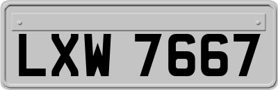 LXW7667