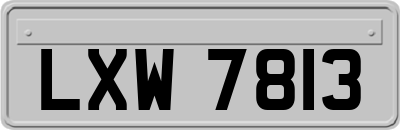 LXW7813