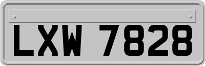 LXW7828