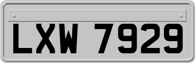 LXW7929
