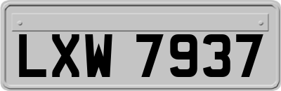 LXW7937