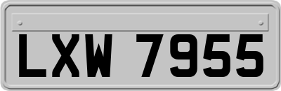 LXW7955