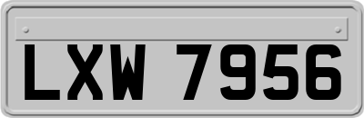 LXW7956