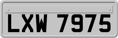 LXW7975