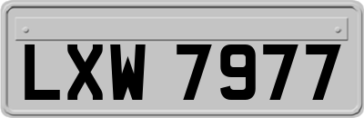 LXW7977