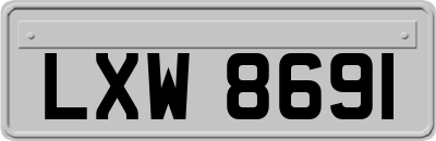LXW8691