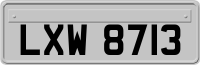 LXW8713