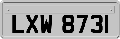 LXW8731