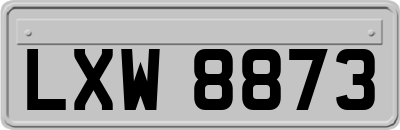 LXW8873