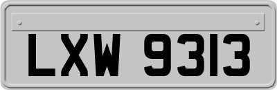 LXW9313