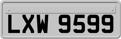 LXW9599